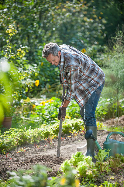 istock Portrait of a man doing gardening 477185038