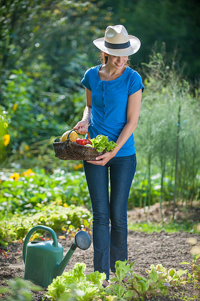 istock Beautiful woman holding a vegetables basket 477187584
