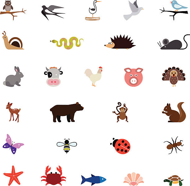 ilustraciones, imágenes clip art, dibujos animados e iconos de stock de color de ilustraciones de animales - symbol sea animal owl