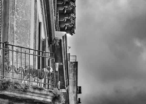 istock Photo taken in Montevideo, Uruguay 477193995