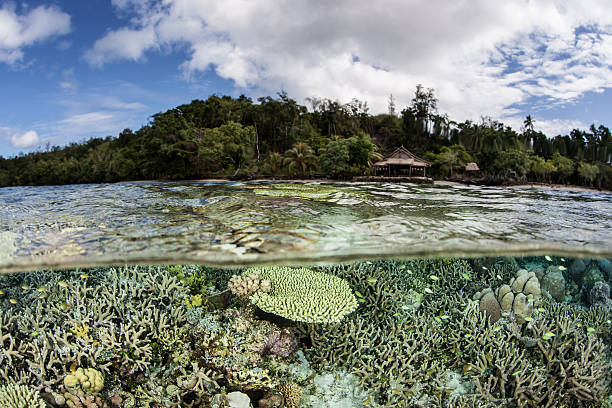 istock Corals Near Island 477194678