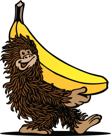 A ape is holding a giant banana! Please check out my other images :)