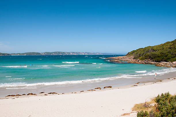istock Beautiful Surfing Beach in Denmark, Western Australia 477198497