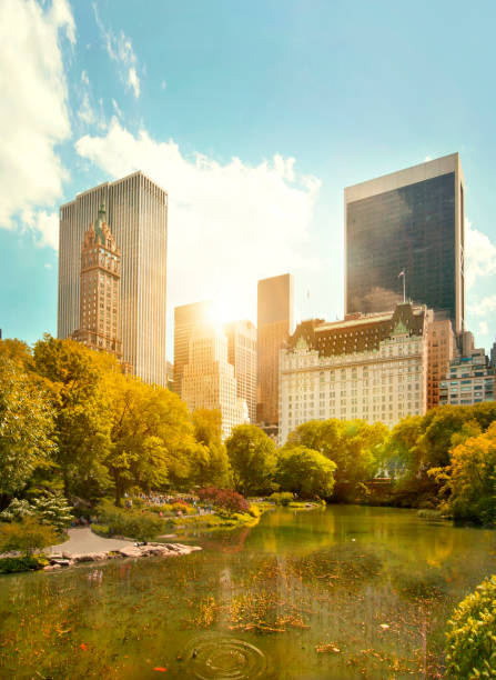istock Central Park and Midtown Manhattan, NYC 477199368