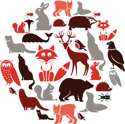 A set of European animals. See below for the other continents. Click below for more animal sets
