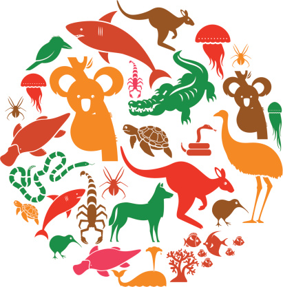 A set of Australasian animals. See below for the other continents. Click below for more animal images