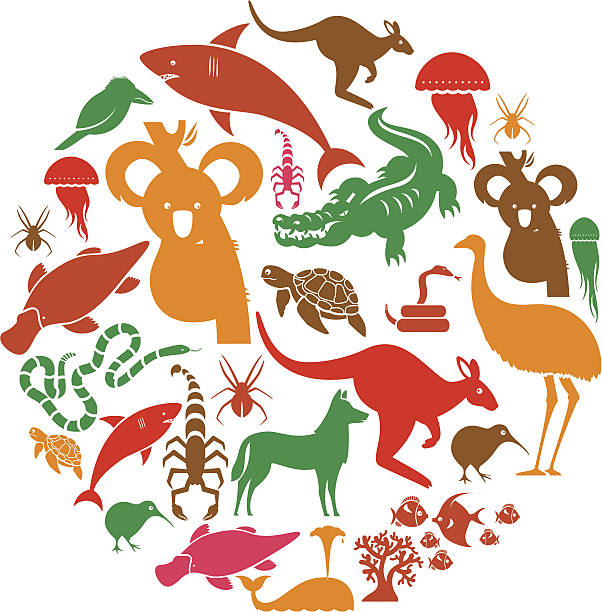 Australasian Animal Icon Set A set of Australasian animals. See below for the other continents. Click below for more animal images duck billed platypus stock illustrations