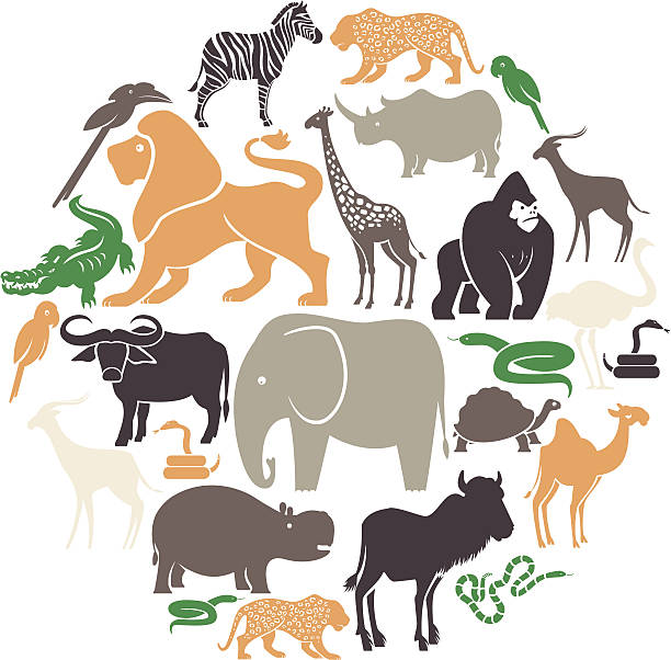 afrikanische tiere icon-set - ostrich ape animal monkey stock-grafiken, -clipart, -cartoons und -symbole