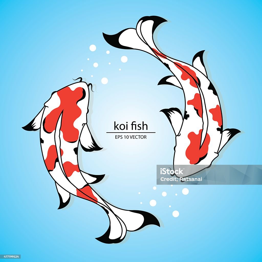 Ko Fish Vector Koi Fish Vector Stock Illustration - Download Image Now - Koi Carp ...
