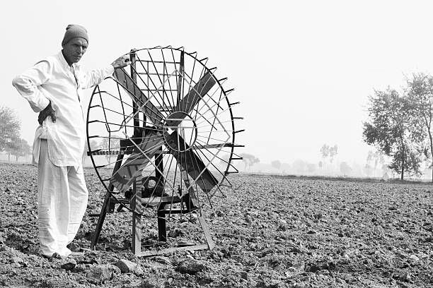 Farmer Standing with Paddy Grains Winnowing Fan in the Field.