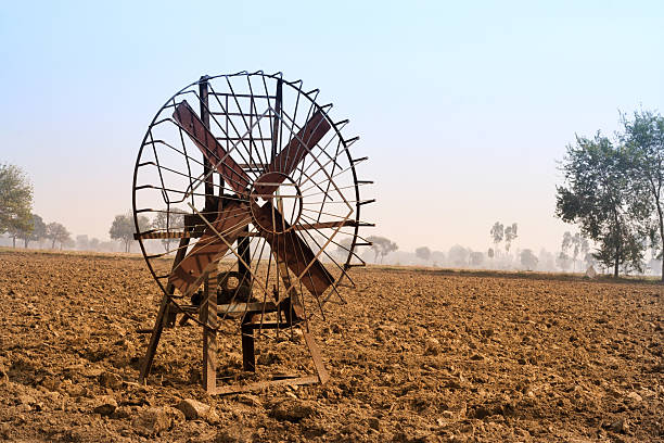 Paddy Grains Winnowing Fan.