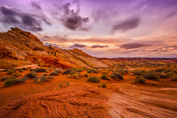 закат в каньон красная скала - usa desert southwest usa canyon стоковые фото и изображения