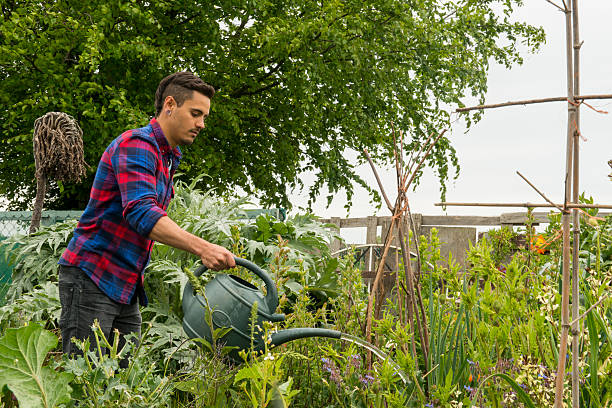 istock Hipster tending to his plants 477203978