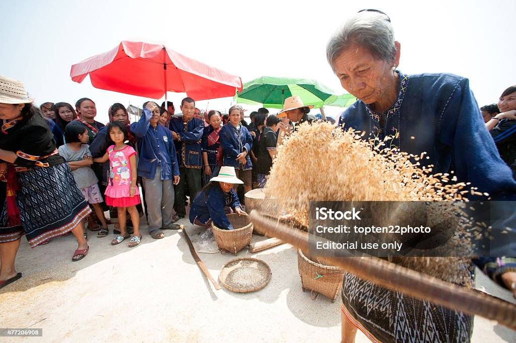 Phutai minority woman winnowing rice. Kalasin,Thailand-March 9,2013 : Group of unidentified minority senior woman competitive winnowing rice fun and happiness in The 2nd International Phutai Festival on March 9,2013 in Khaovong District, Kalasin Province, Northeastern of Thailand. 2015 Stock Photo