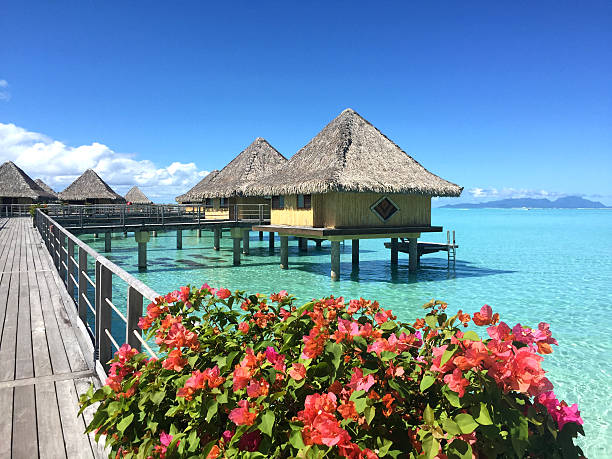 istock Beautiful Bora Bora Tahiti 477207076