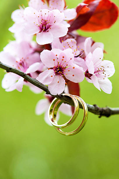 Wedding rings closeup stock photo