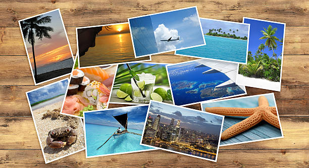 collection of tropical images collection of tropical images on wooden table progress photos stock pictures, royalty-free photos & images