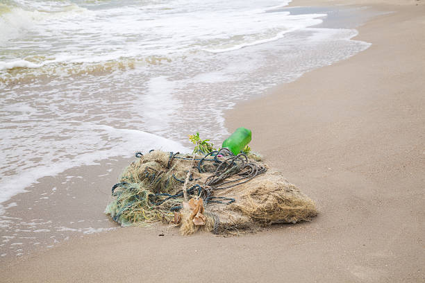 istock Tangled fishing nets on the beach 477210562