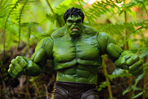 West Vancouver, Canada - May 19, 2015: A toy of the Incredible Hulk in the rainforest of Lighthouse Park in the City of West Vancouver, British Columbia. The Hulk is a large green creature with unlimited strength that manifests when he is angry. The Hulk is the alter ego of Bruce Banner, a meek and socially awkward scientist. The toy is from Marvel Select.