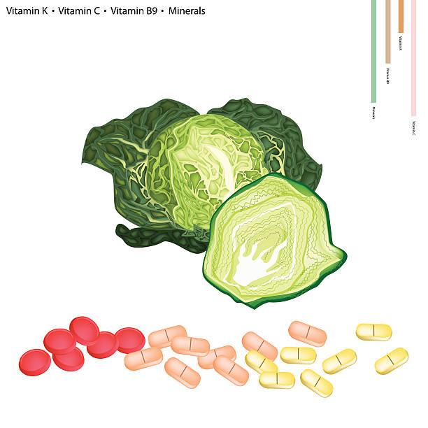 kapusta włoska witamina k, k i b9 - savoy cabbage stock illustrations