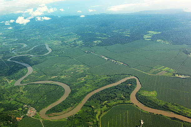 istock Meandering river from the air 477214722