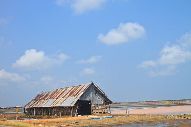 istock salt in the bamboo basket 477215599