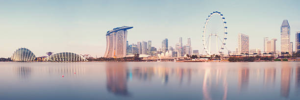 ville de singapour - gardens by the bay photos et images de collection