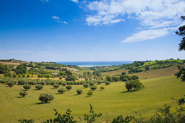Landscape in the Marches, Italy stock photo