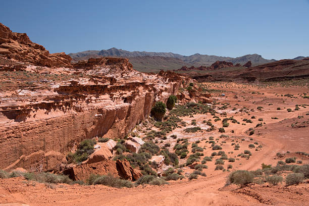 istock Little Finland, Nevada, USA 477226914