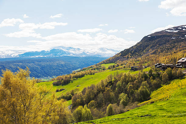 Green fields and montainous summer landscape  with farm houses. view to Jotunheimen mountain range with snow covered mountains.   Vaagaa, Gudbrandsdalen Norway. 