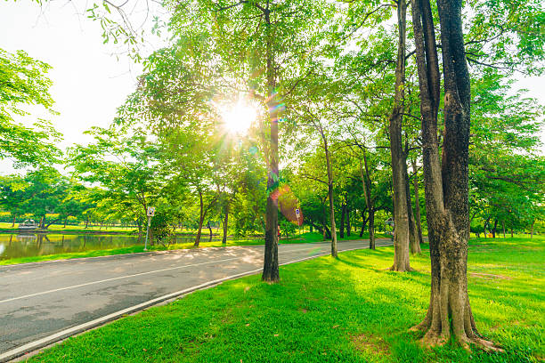 istock Green lawn in city park and pathway 477235660