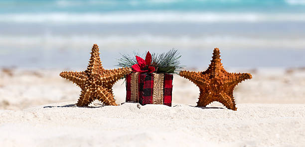 istock Tropical celebration on beach, two starfishes and present box 477236300