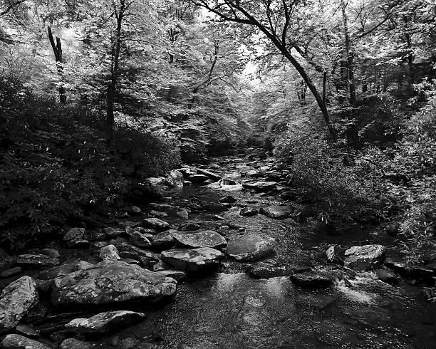istock Small River in the Great Smoky Mountains 477236346