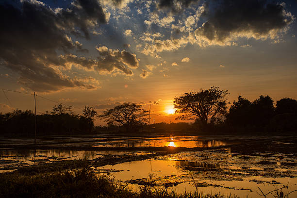 istock Sunset landscape on water field 477238151