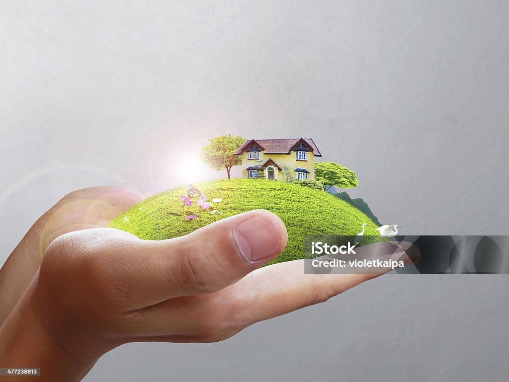house in human hands Business man house in human hands Airplane Stock Photo