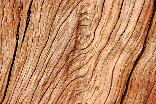 Beautiful wood texture background. Stock photo. stock photo