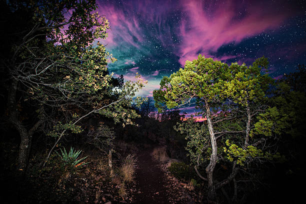 istock Hiking at night. Lost Mine Trail, Big Bend 477242494