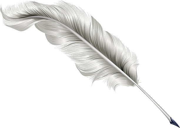 ilustrações de stock, clip art, desenhos animados e ícones de clássico feather ilustração de quill - pena de escrever