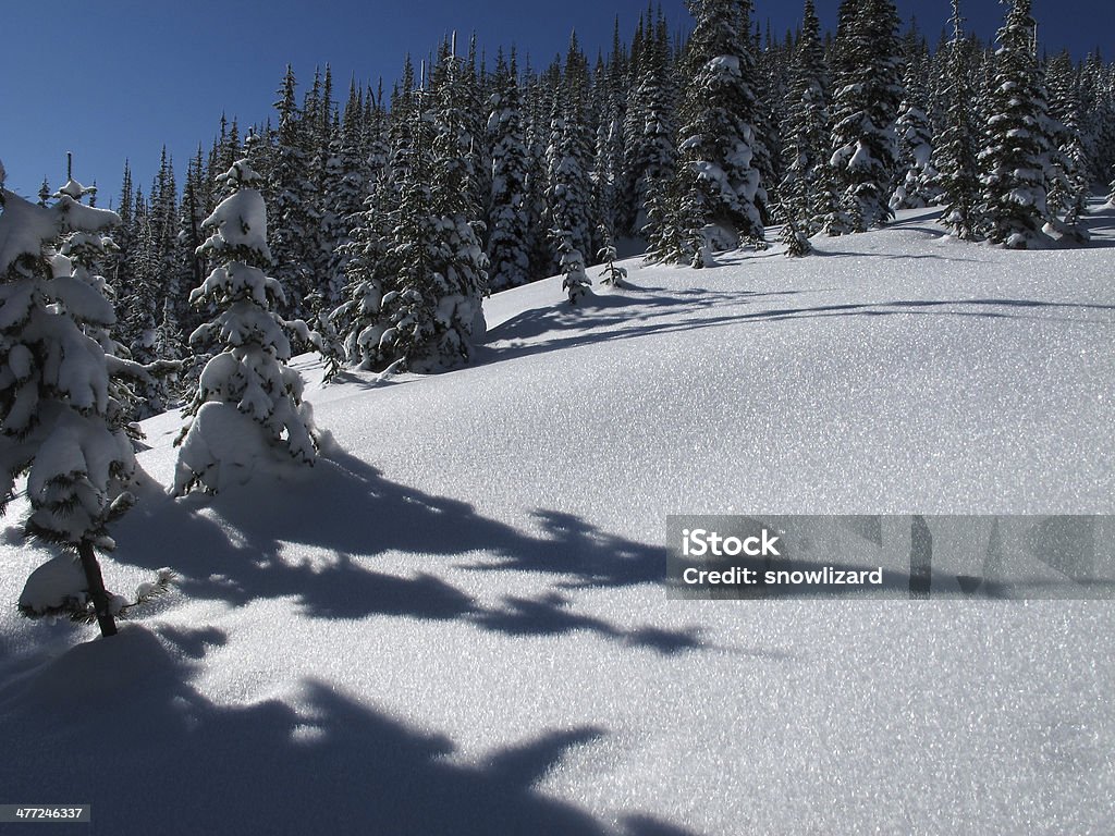 Alpine Winter Wonderland - Photo de Arbre libre de droits