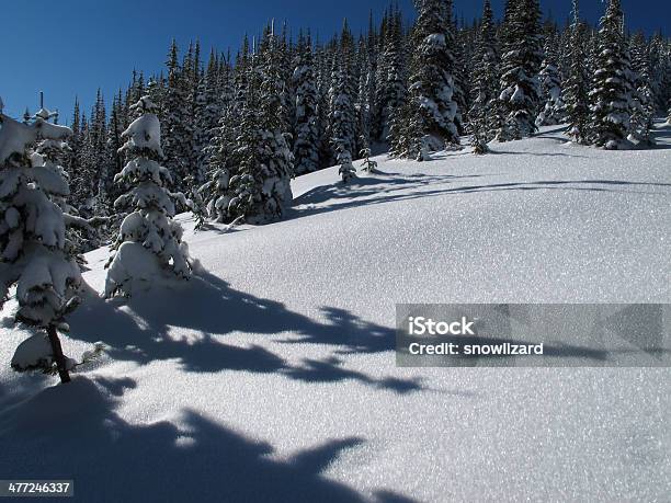 Photo libre de droit de Alpine Winter Wonderland banque d'images et plus d'images libres de droit de Arbre - Arbre, Arbre à feuilles persistantes, Aventure