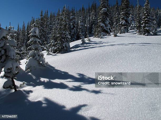 Alpine Winter Wonderland - zdjęcia stockowe i więcej obrazów Bez ludzi - Bez ludzi, Bezchmurne niebo, Biały