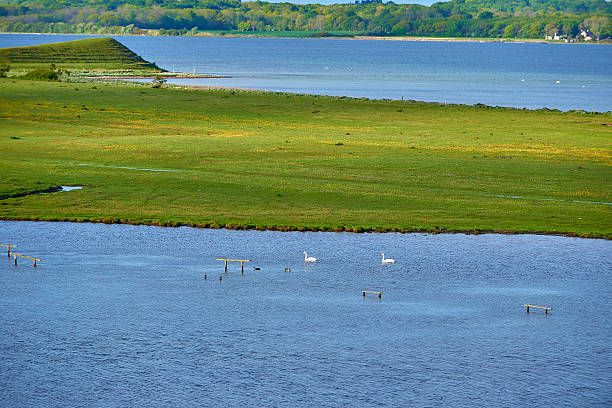 istock Lake by green meadow in Denmark 477252710