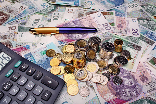 istock Polish money salary 477253018
