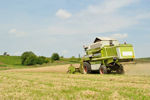 istock Modern combine harvester in the wheat field during harvesting 477254889