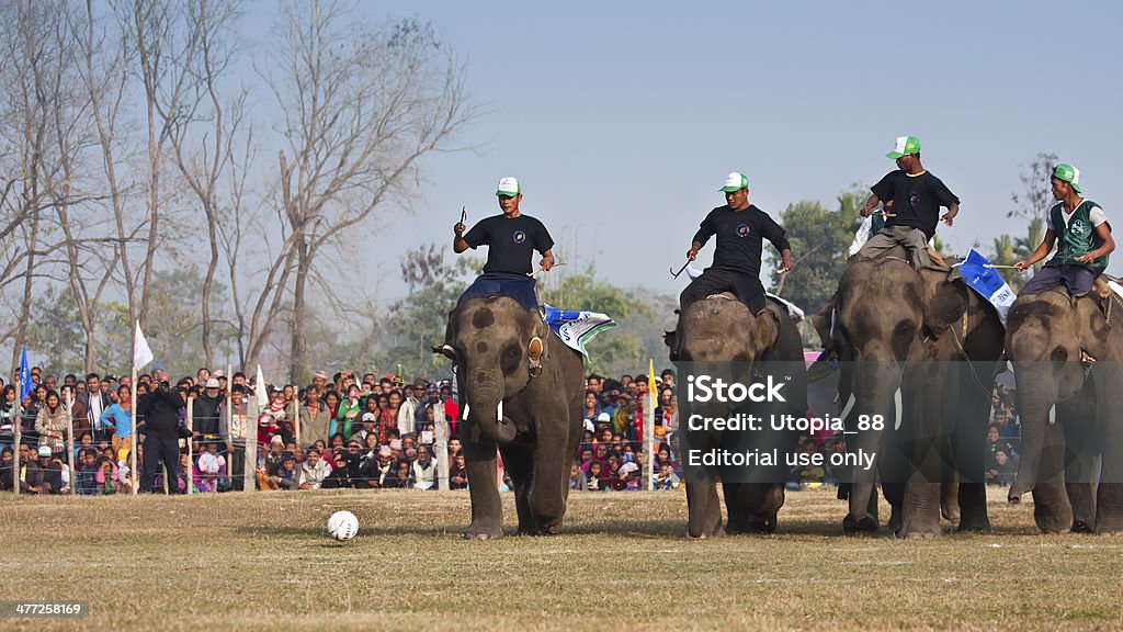 Match de Football-Fête des éléphants, de Chitwan 2013, Népal - Photo de 2013 libre de droits