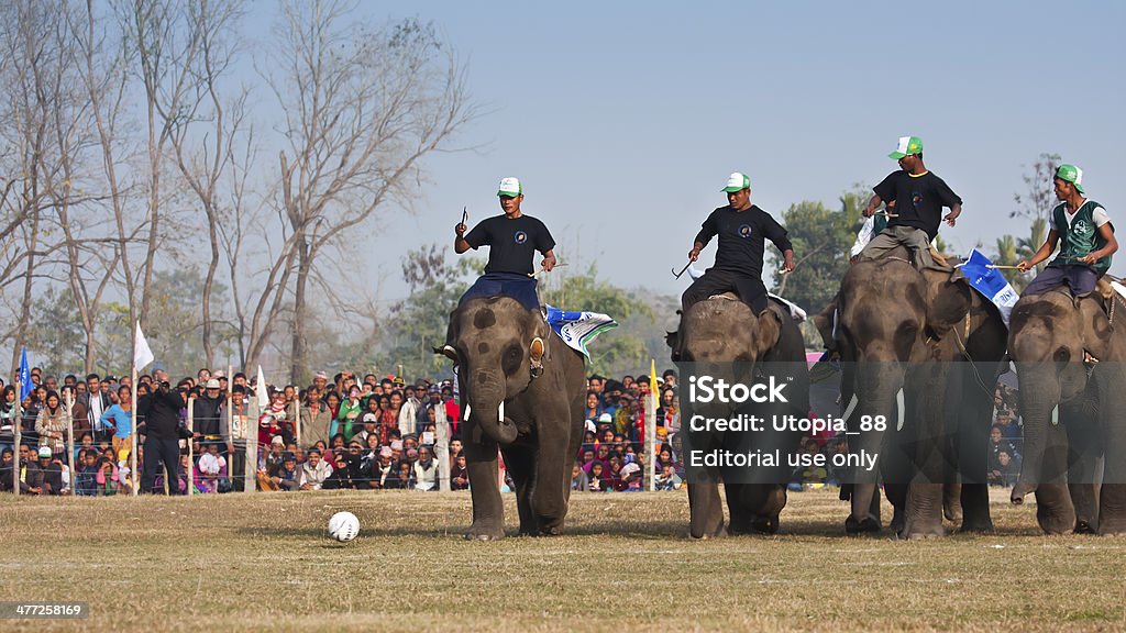 Jogo de futebol-festival de Elefante, de Chitwan 2013, Nepal - Foto de stock de 2013 royalty-free