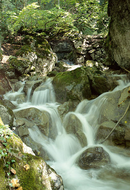 istock Waterfall in Savoy, France 477261677