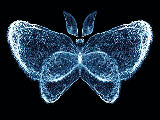 istock Illusion of Butterfly 477264969