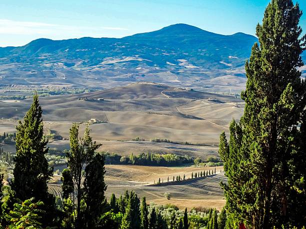 paysage de la toscane, en italie - siena province photos et images de collection