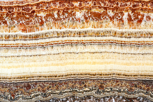 Cross Section of Stratum Sedimentary Layers